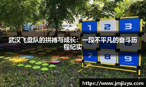 武汉飞盘队的拼搏与成长：一段不平凡的奋斗历程纪实